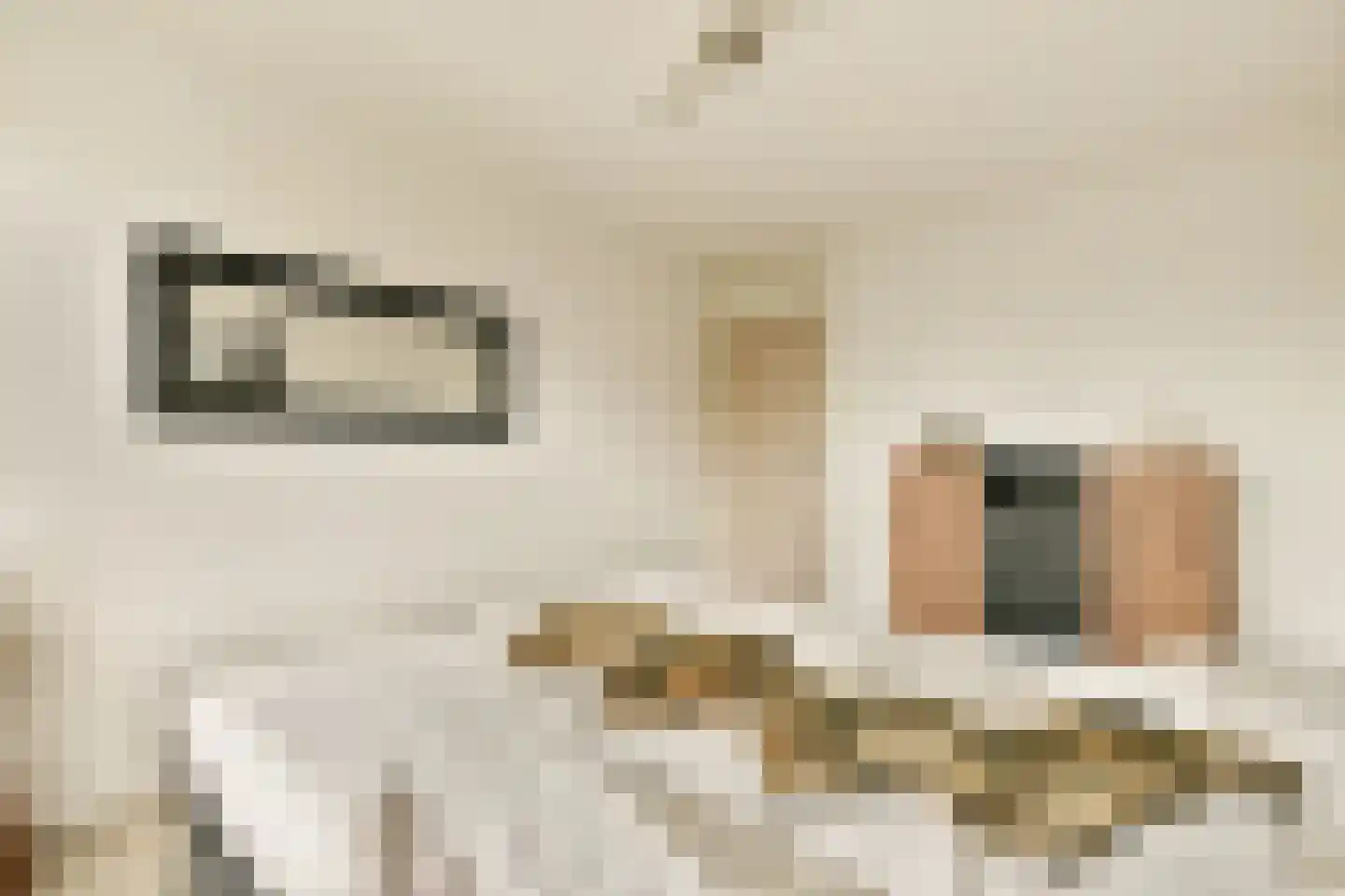 Witkopeend 9 Uithoorn thumbnail 21