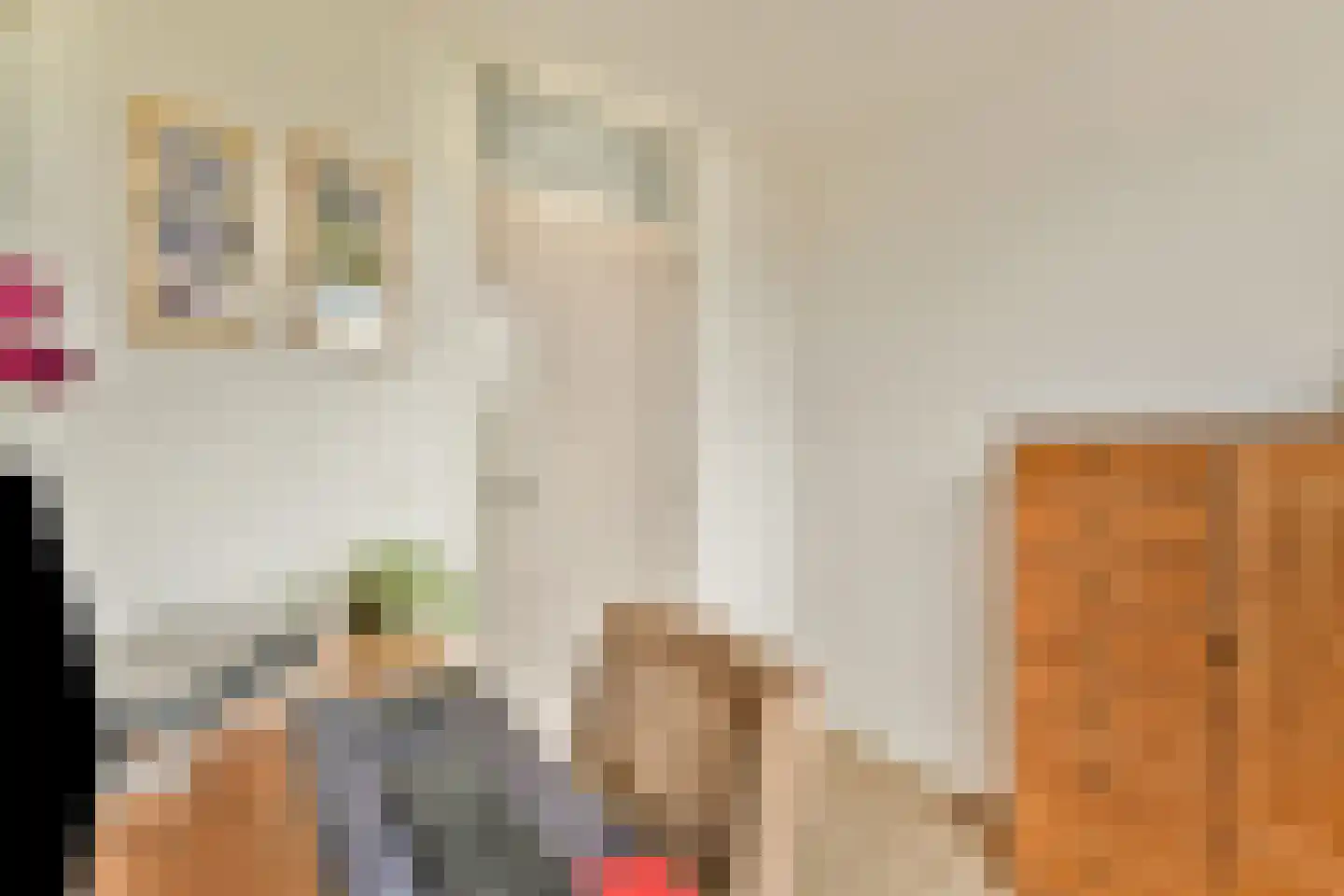 Witkopeend 9 Uithoorn thumbnail 24