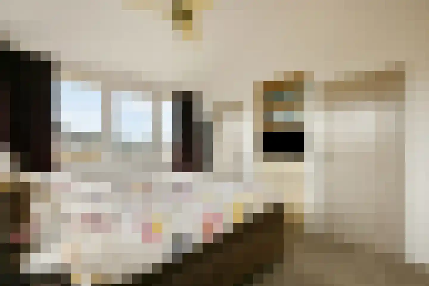 Witkopeend 9 Uithoorn thumbnail 27