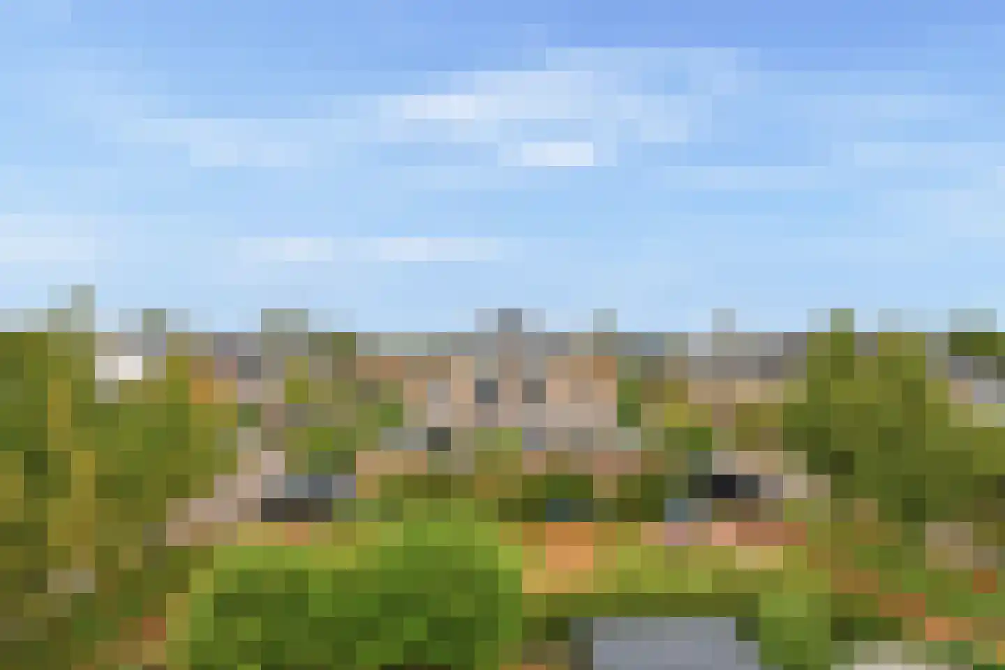 Witkopeend 9 Uithoorn thumbnail 30