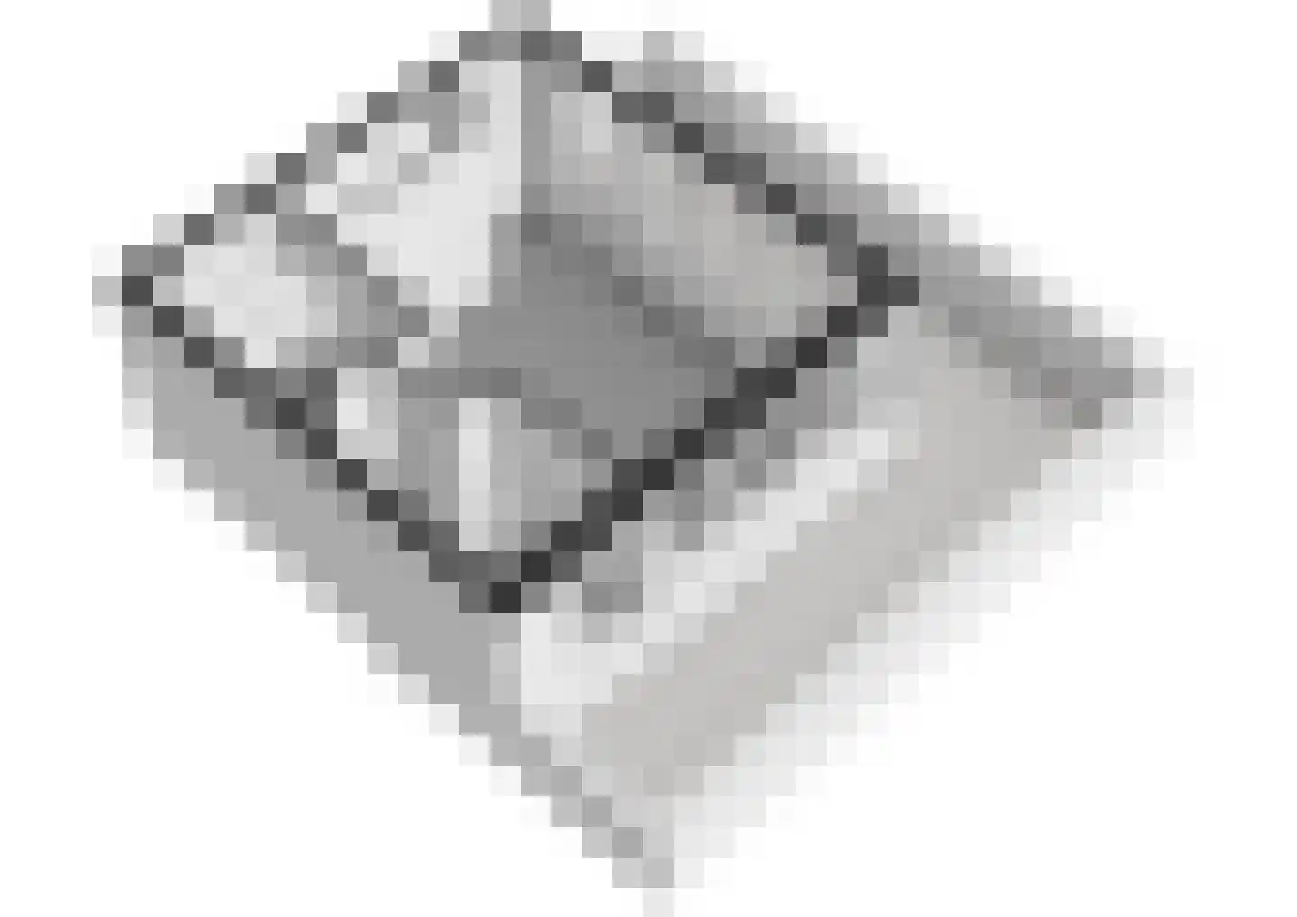 Witkopeend 9 Uithoorn thumbnail 39