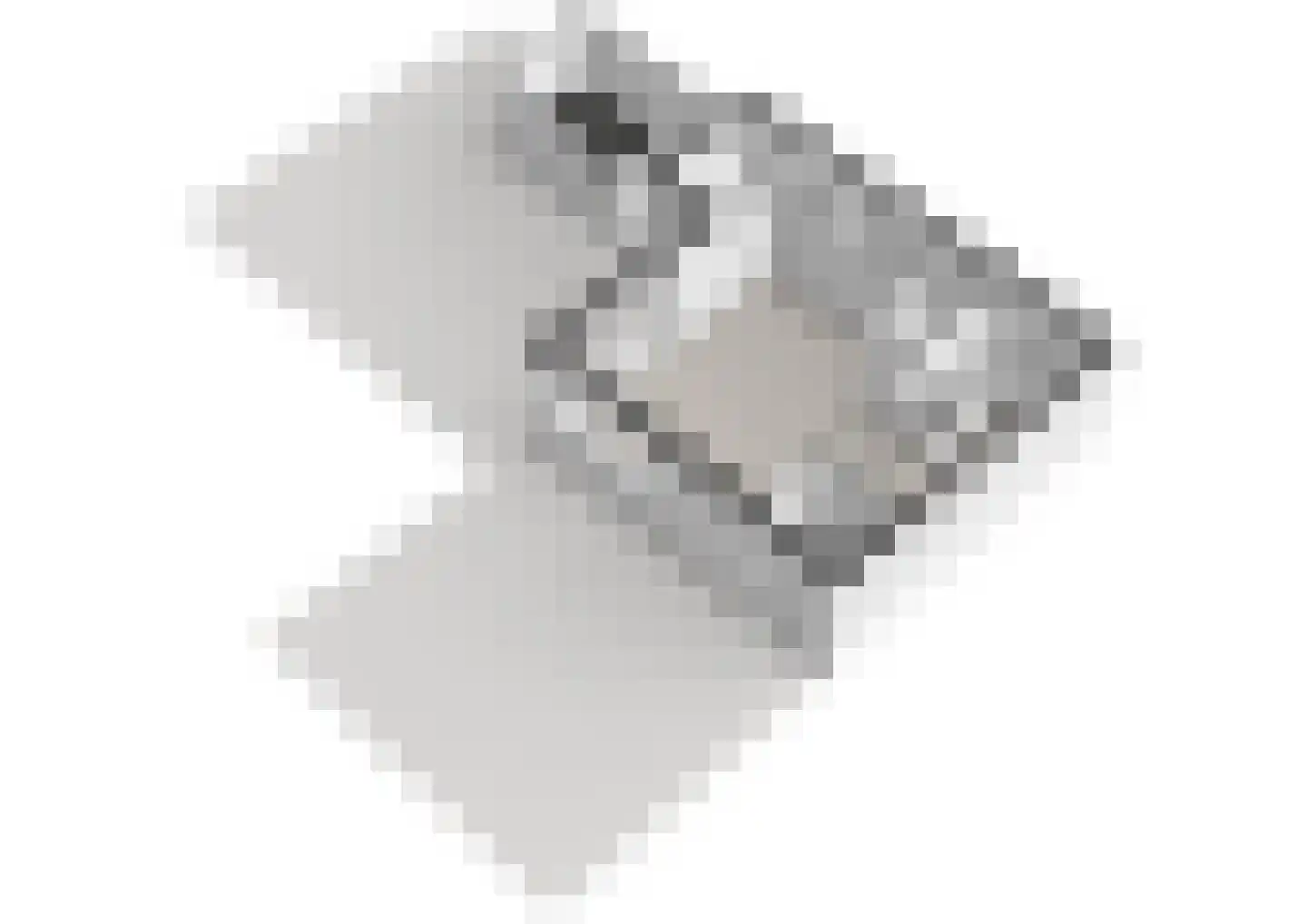 Witkopeend 9 Uithoorn thumbnail 41