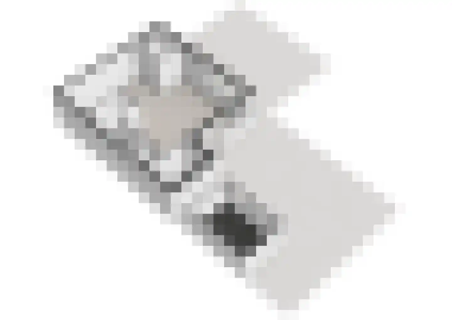 Witkopeend 9 Uithoorn thumbnail 42