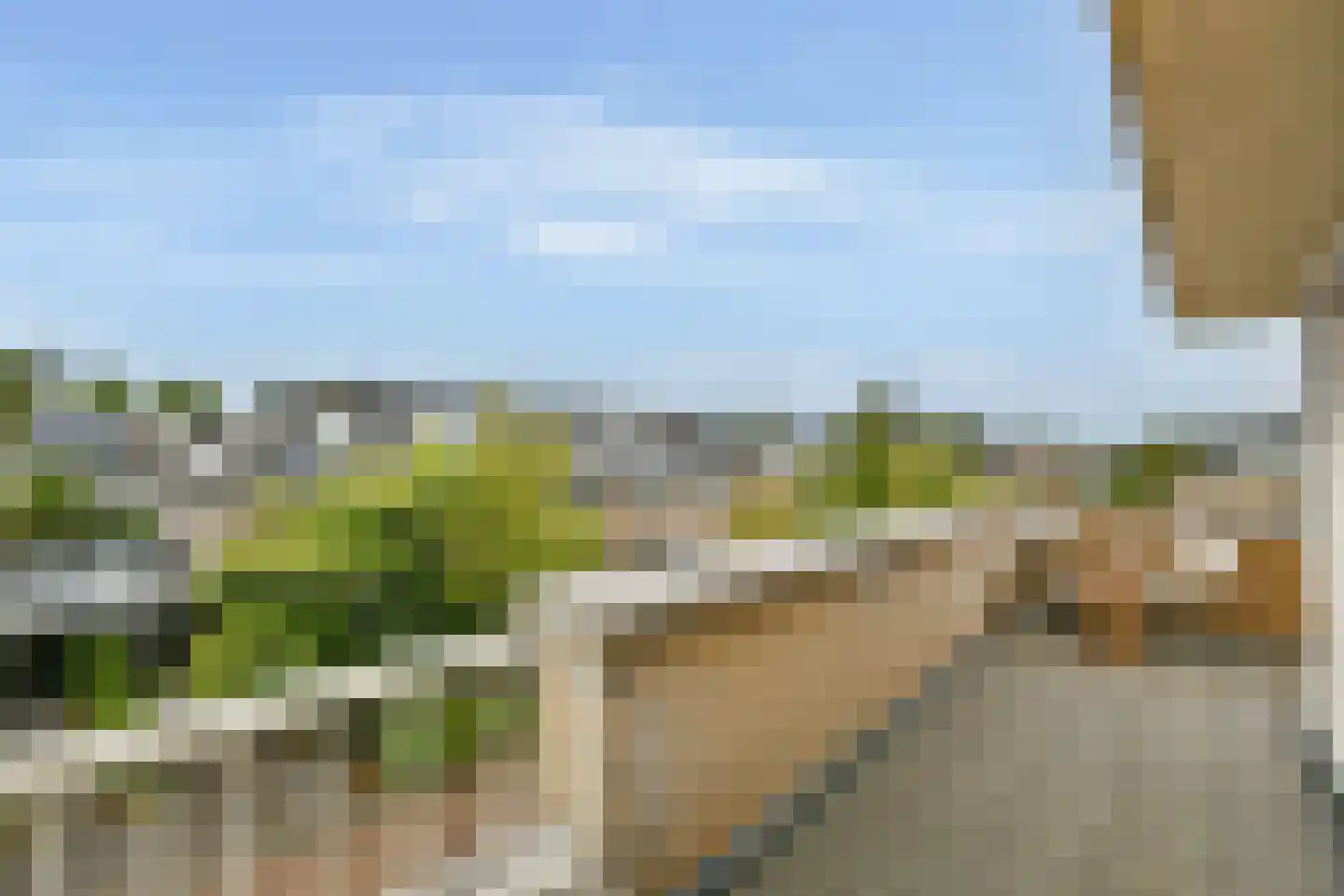 Witkopeend 9 Uithoorn thumbnail 5