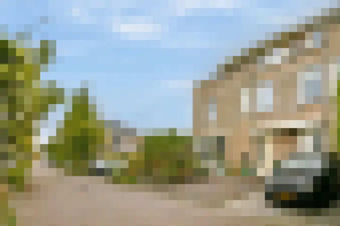 Witkopeend 9 Uithoorn thumbnail 6