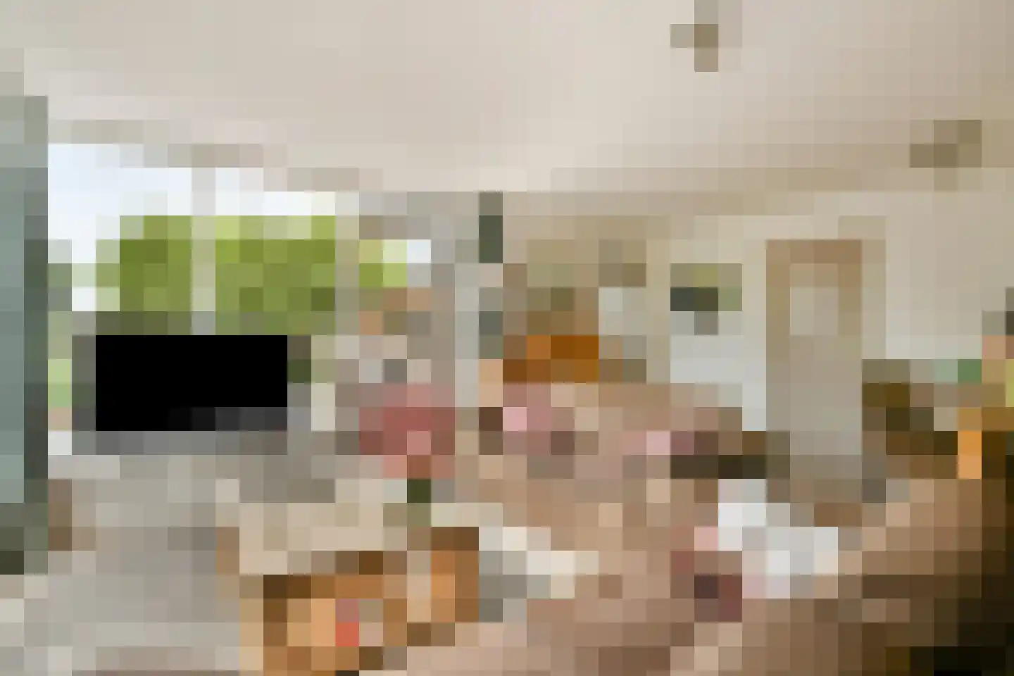 Witkopeend 9 Uithoorn thumbnail 8