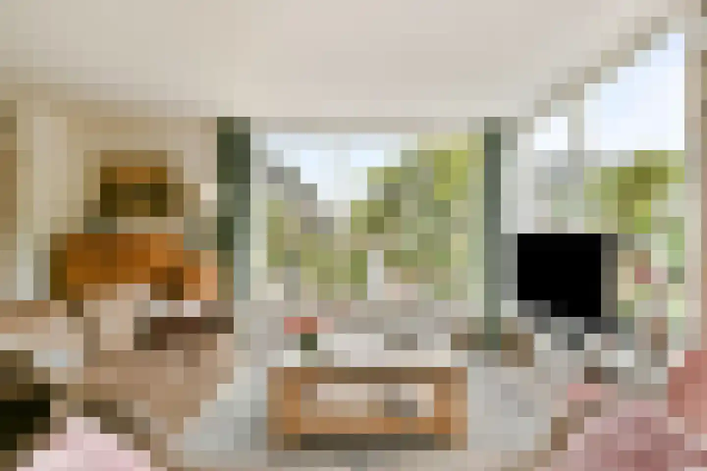 Witkopeend 9 Uithoorn thumbnail 9