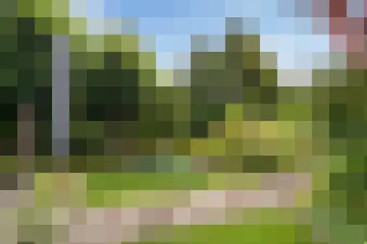Witlofstraat 6 Wateringen thumbnail 11