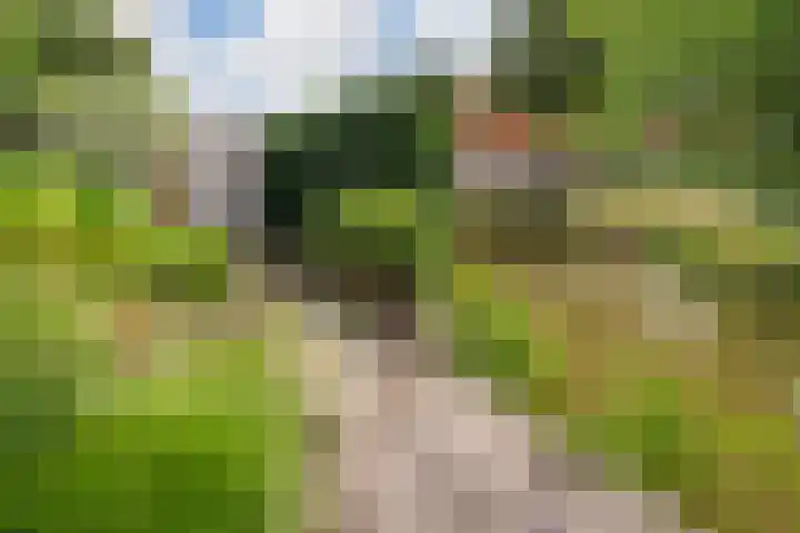Witlofstraat 6 Wateringen thumbnail 13