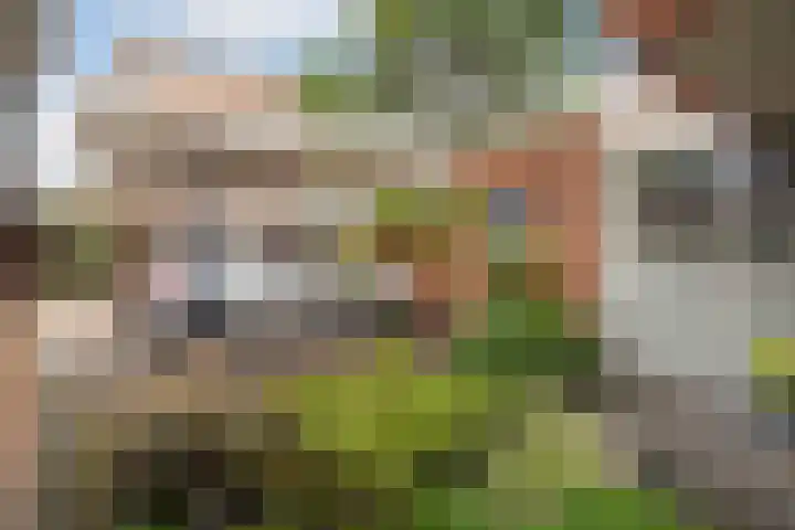 Witlofstraat 6 Wateringen thumbnail 48