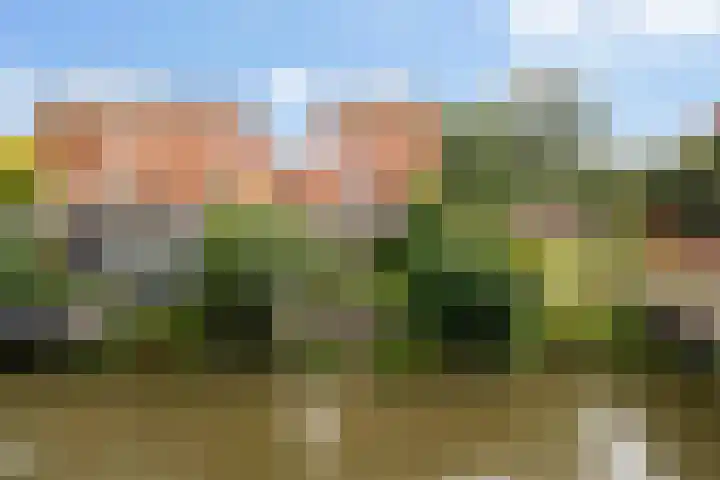 Witlofstraat 6 Wateringen thumbnail 51