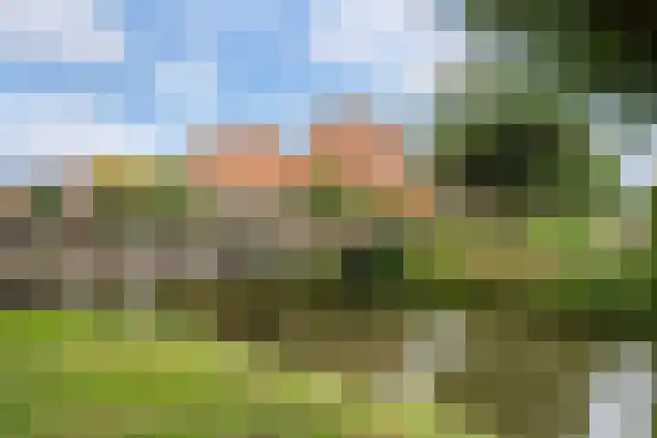 Witlofstraat 6 Wateringen thumbnail 53