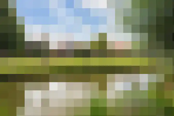 Witlofstraat 6 Wateringen thumbnail 55