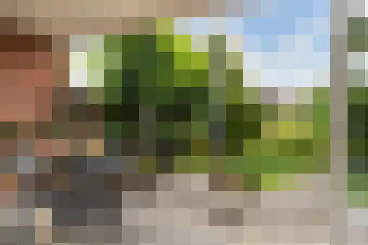 Witlofstraat 6 Wateringen thumbnail 9