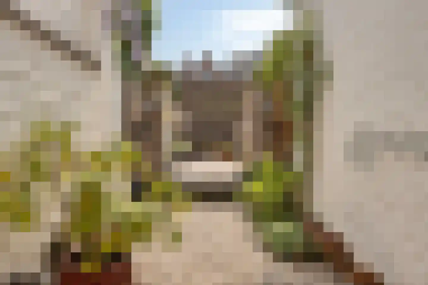 Witmakersstraat 15 Maastricht thumbnail 24