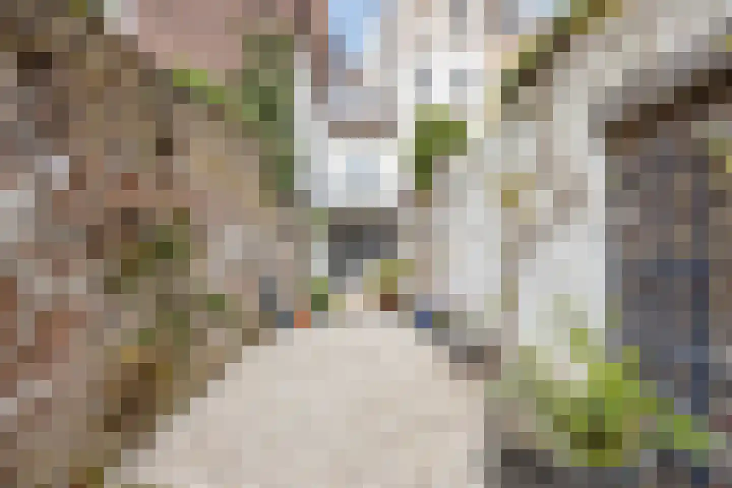 Witmakersstraat 15 Maastricht thumbnail 27