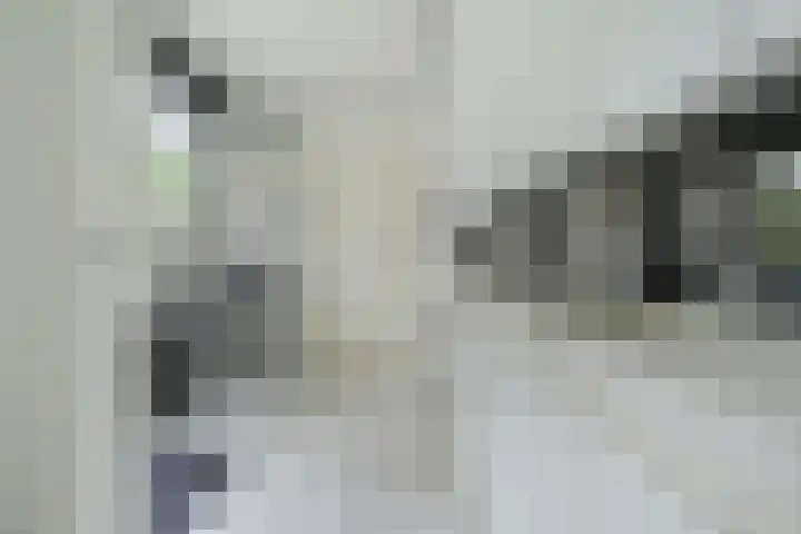 Witmoeren 5 Breda thumbnail 16