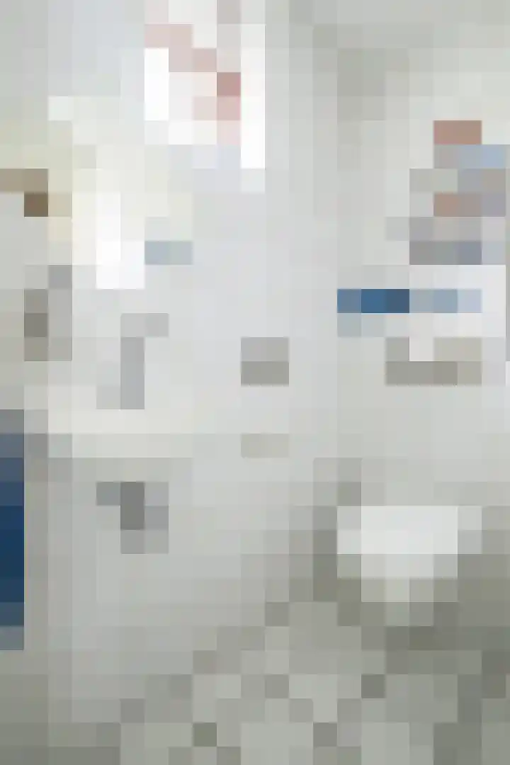 Witmoeren 5 Breda thumbnail 21