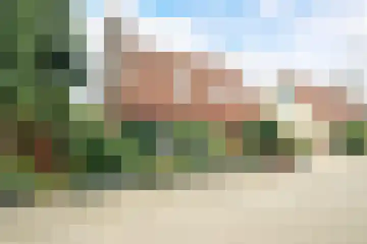 Witmoeren 5 Breda foto 3
