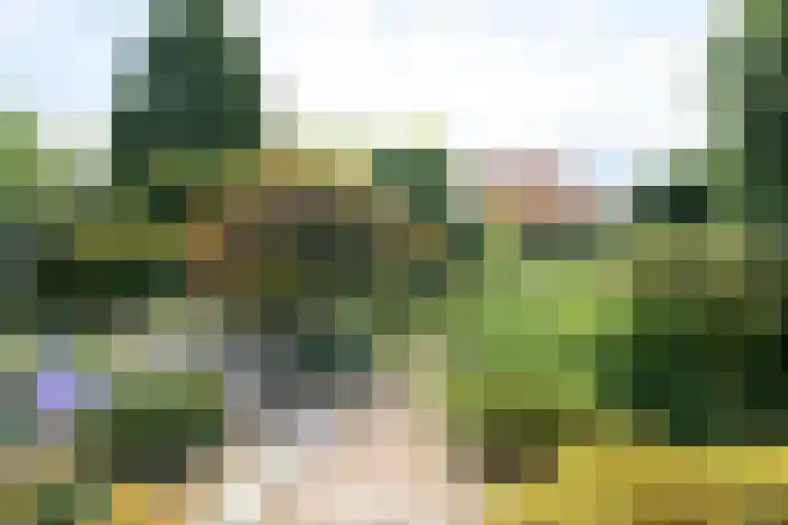 Witmoeren 5 Breda thumbnail 30