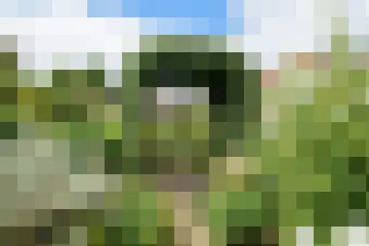 Witmoeren 5 Breda thumbnail 31