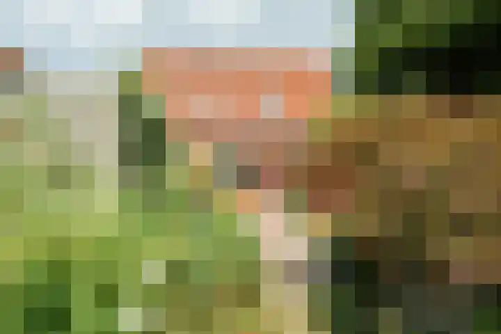 Witmoeren 5 Breda thumbnail 32