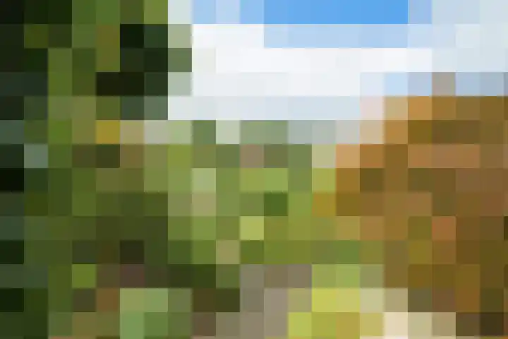 Witmoeren 5 Breda thumbnail 37
