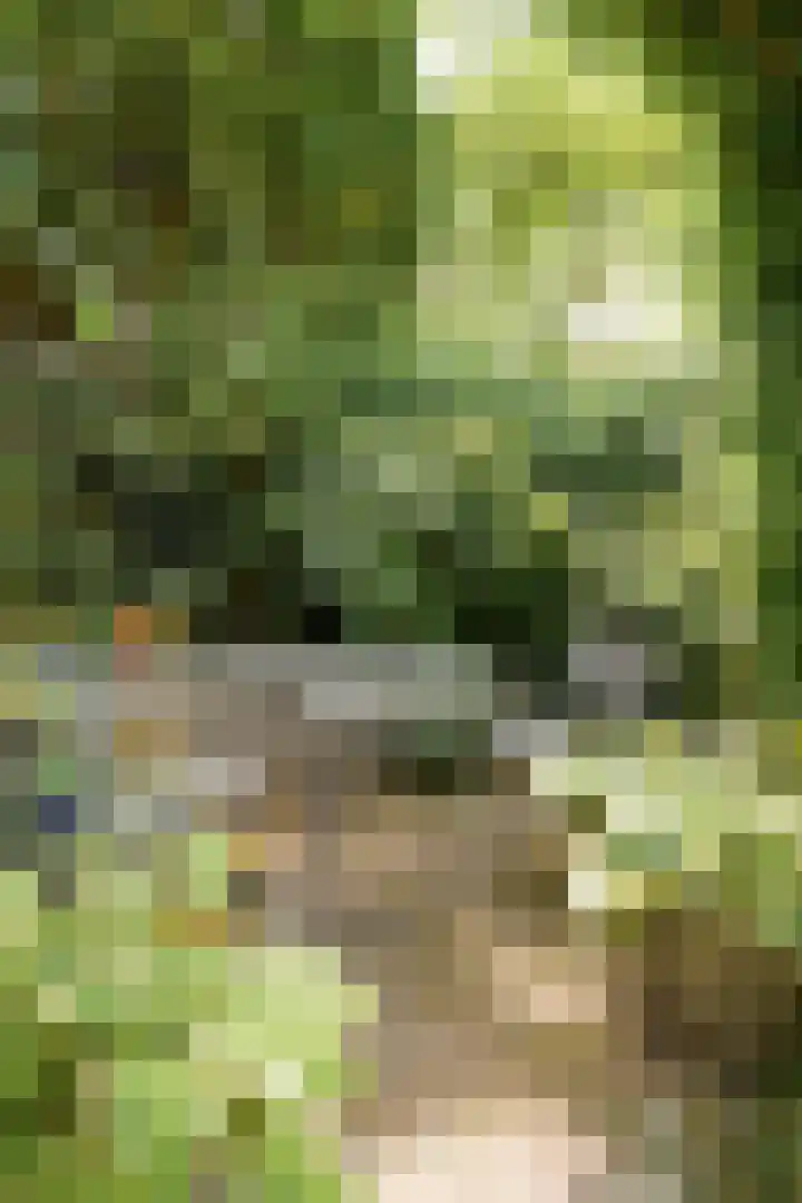 Witmoeren 5 Breda thumbnail 38