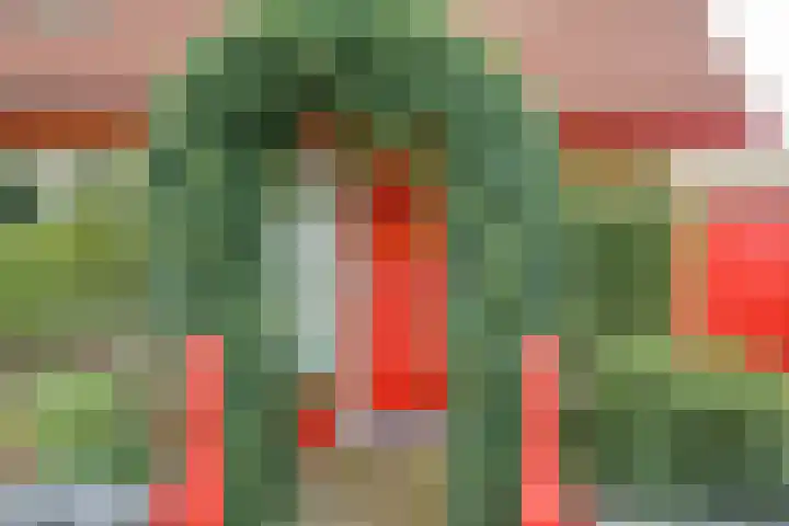 Witmoeren 5 Breda thumbnail 4