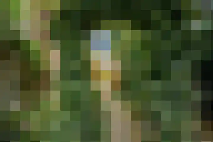 Witmoeren 5 Breda thumbnail 40