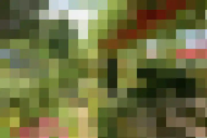 Witmoeren 5 Breda thumbnail 41
