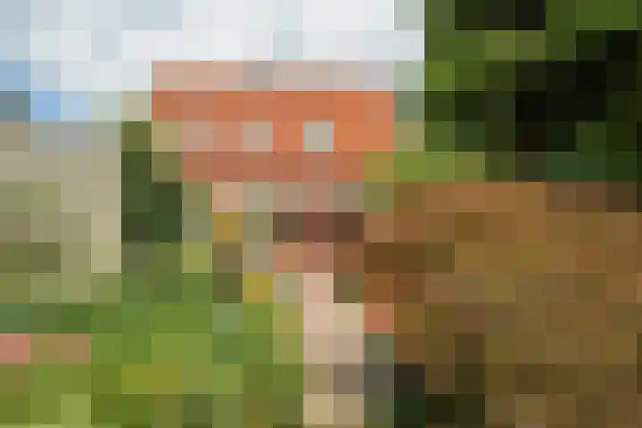 Witmoeren 5 Breda thumbnail 42
