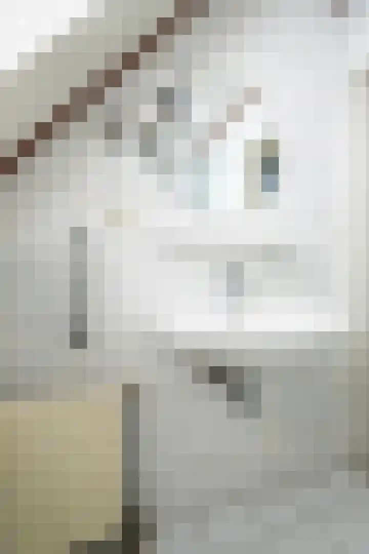 Witmoeren 5 Breda thumbnail 49