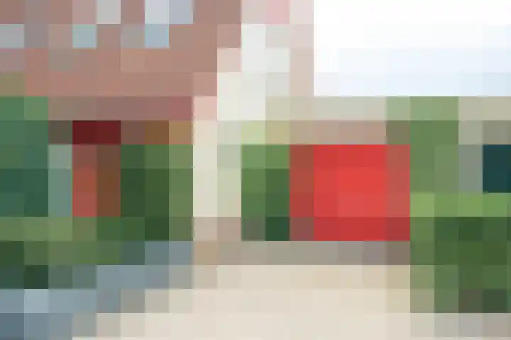 Witmoeren 5 Breda thumbnail 56