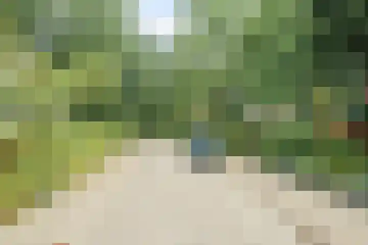 Witmoeren 5 Breda thumbnail 61
