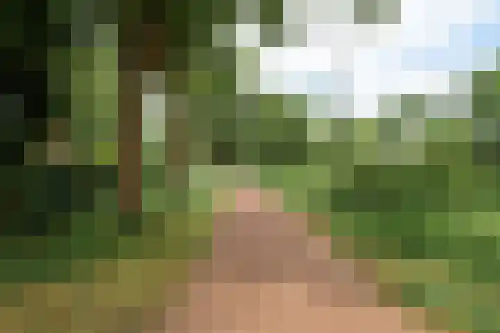 Witmoeren 5 Breda thumbnail 62