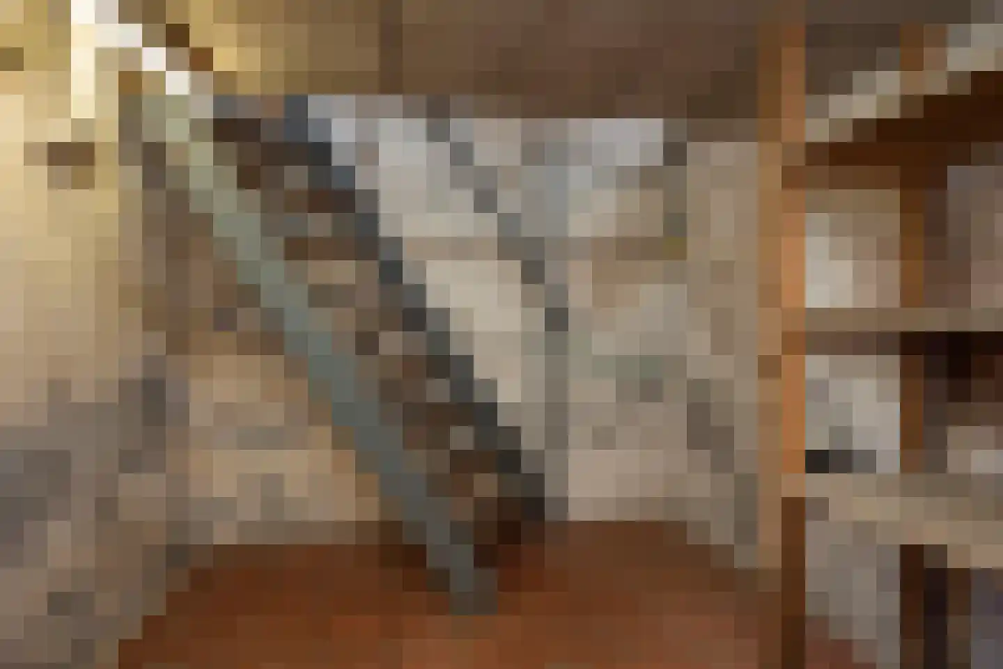 Witmoesdijk 11 Rijssen thumbnail 23