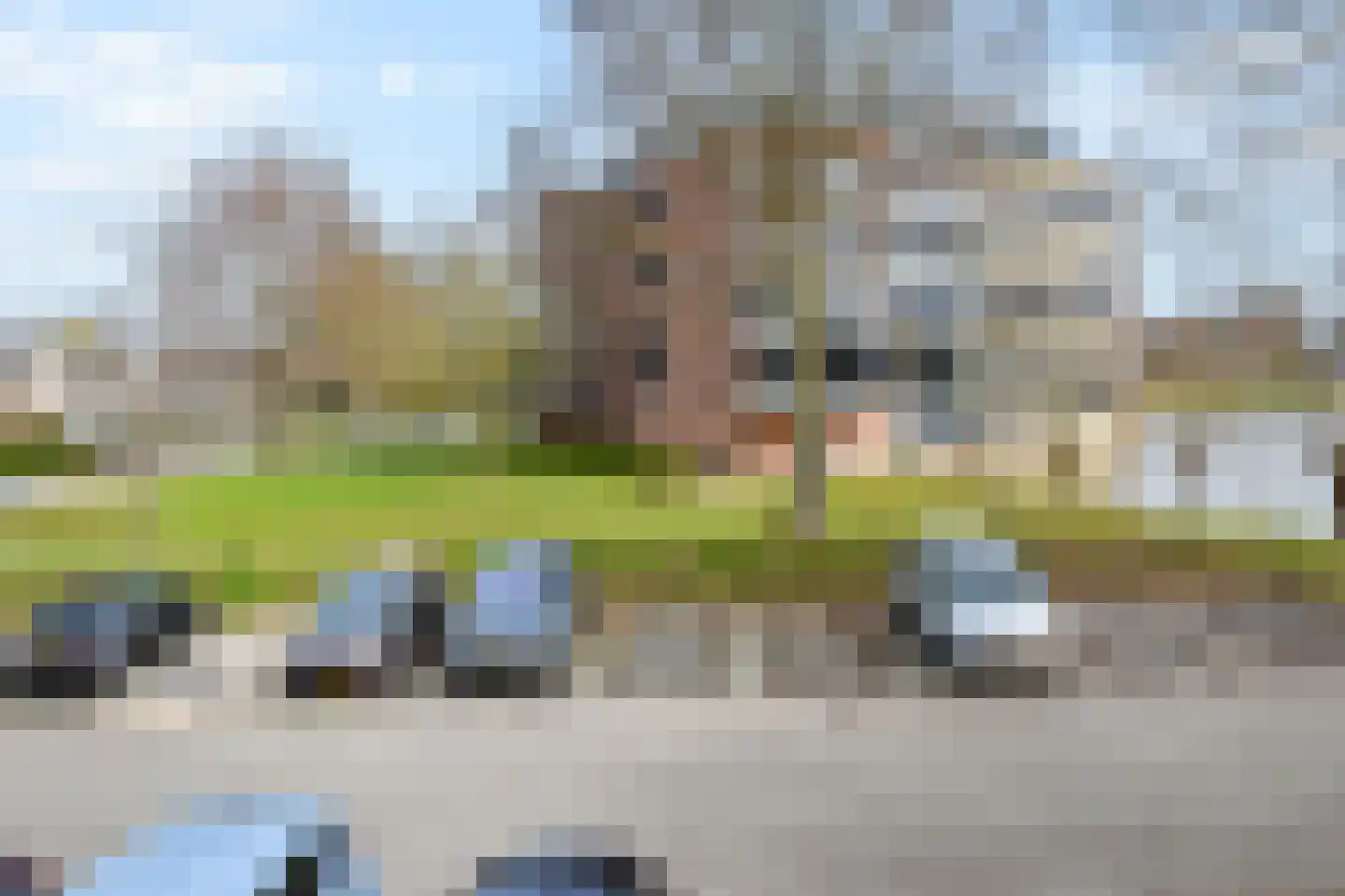 Witmolen 113 Delfgauw thumbnail 32