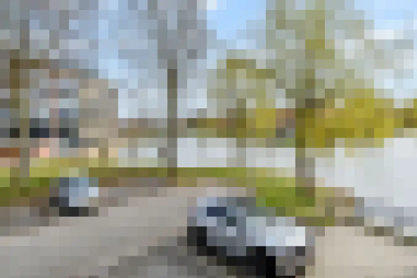 Witmolen 113 Delfgauw thumbnail 33