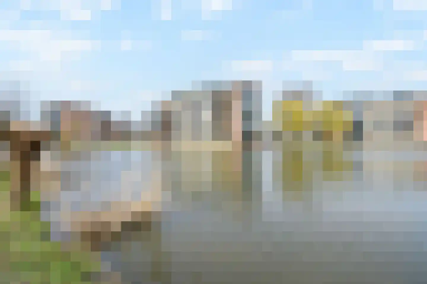 Witmolen 113 Delfgauw thumbnail 35