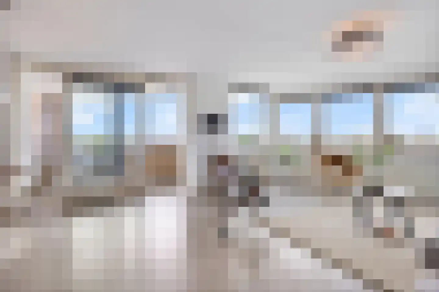 Witmolen 131 Delfgauw thumbnail 11