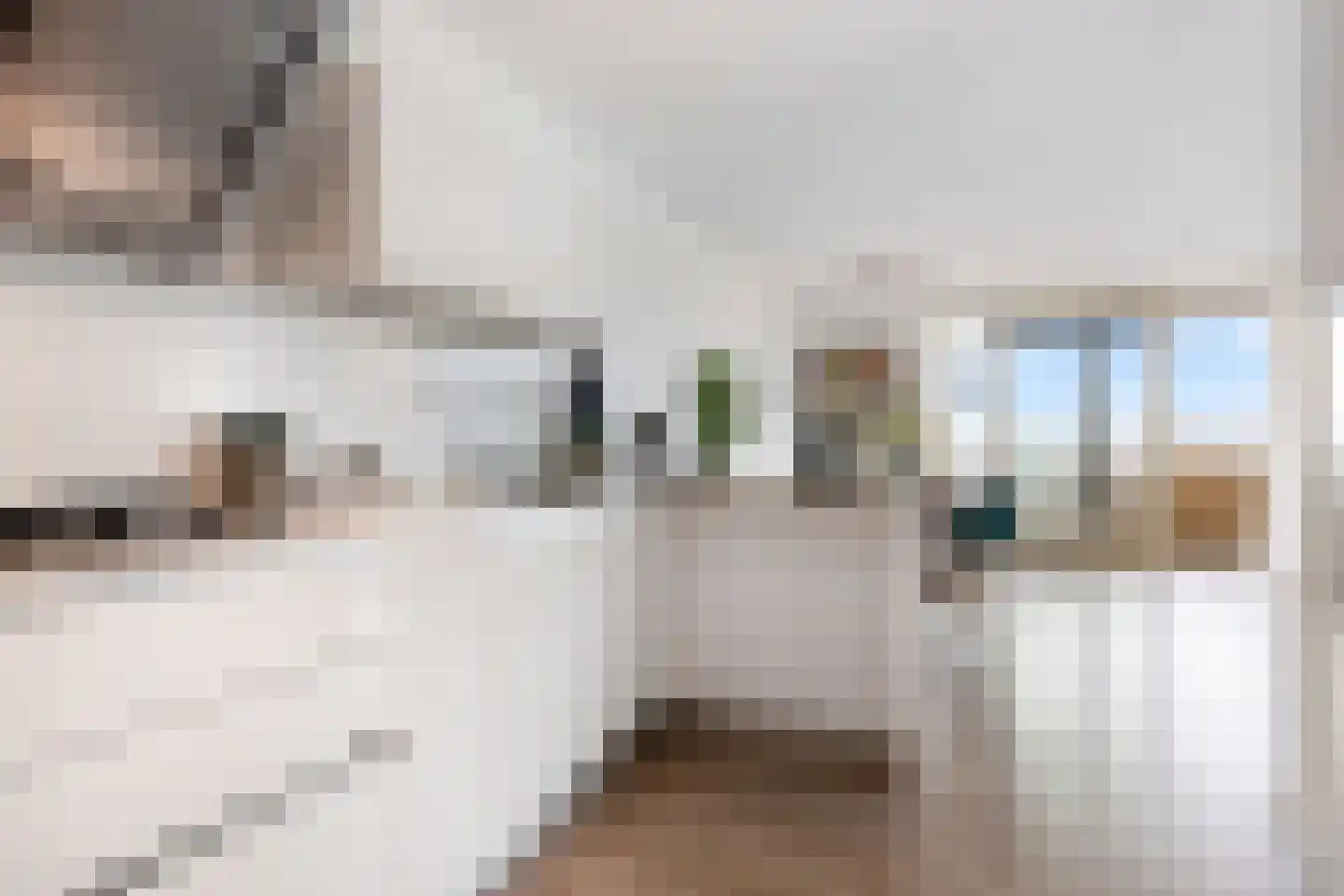 Witmolen 131 Delfgauw thumbnail 17