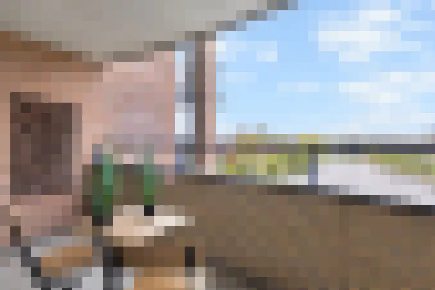 Witmolen 131 Delfgauw thumbnail 20