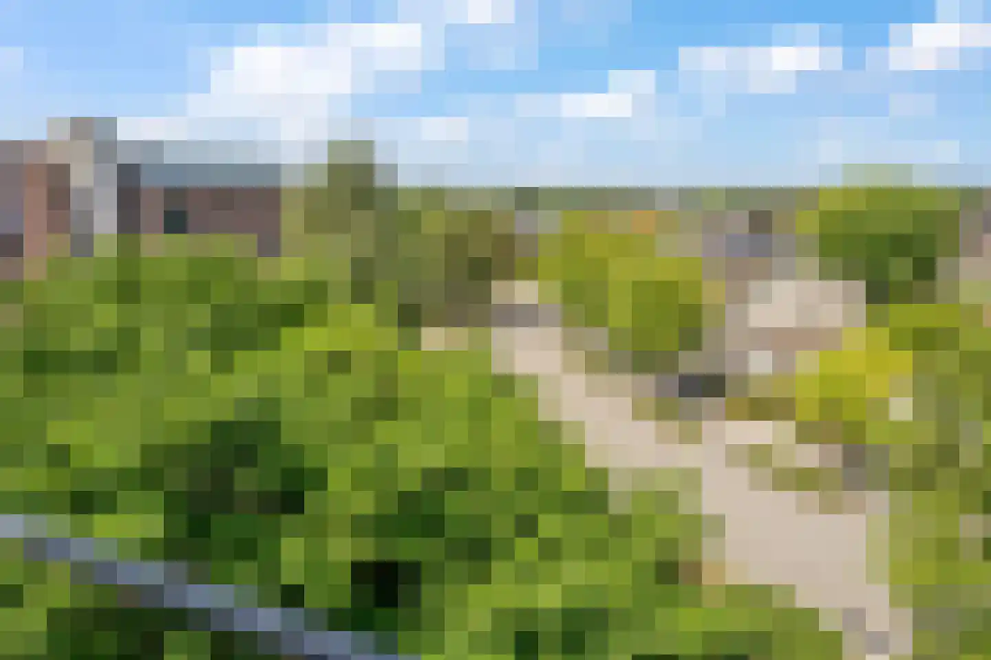 Witmolen 135 Delfgauw thumbnail 12