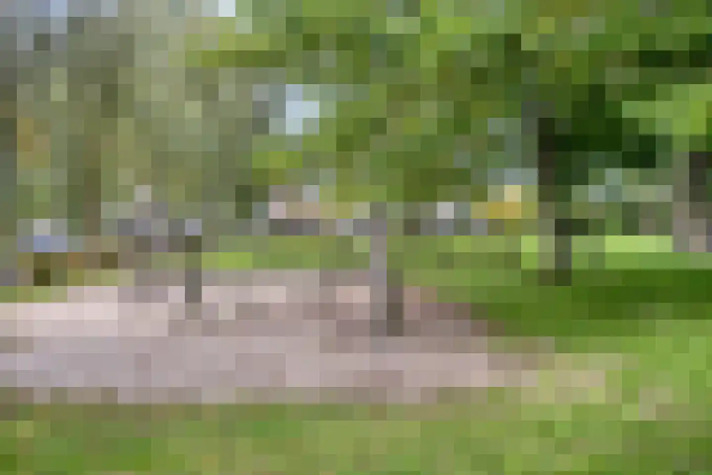 Witmolen 153 Delfgauw thumbnail 46