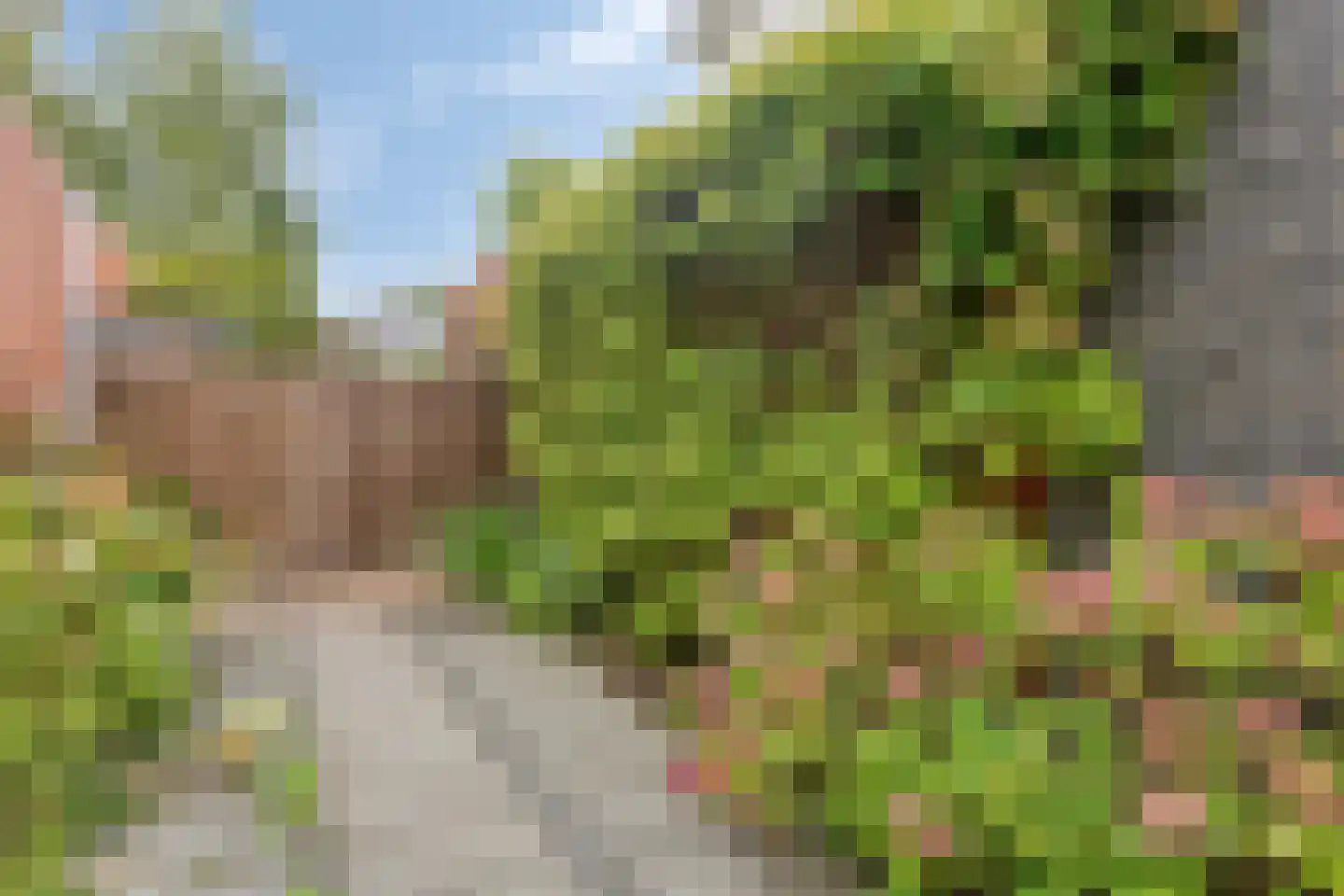 Witmolen 153 Delfgauw thumbnail 8