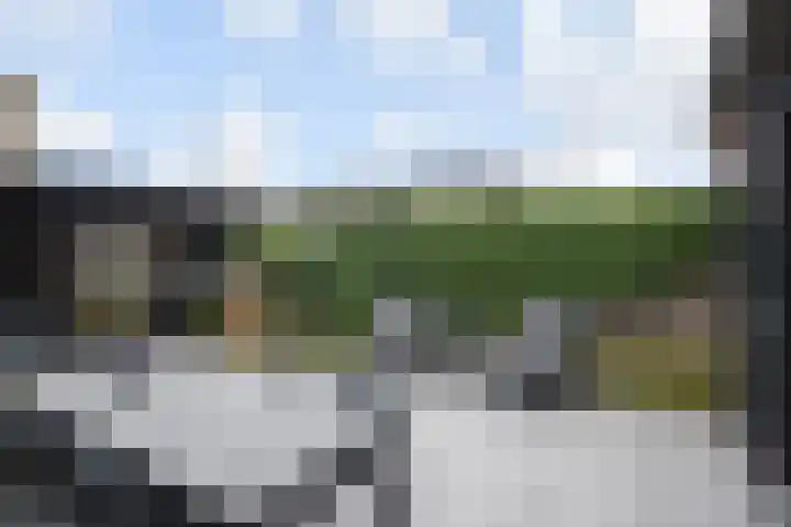 Witmolen 27 Delfgauw thumbnail 17