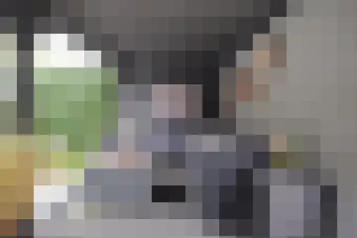 Witmolen 27 Delfgauw thumbnail 21