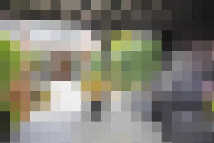 Witmolen 27 Delfgauw thumbnail 23