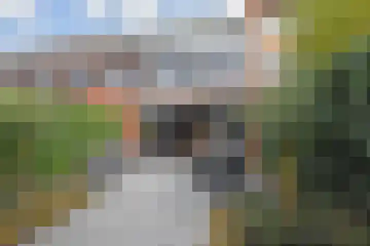 Witmolen 27 Delfgauw thumbnail 24